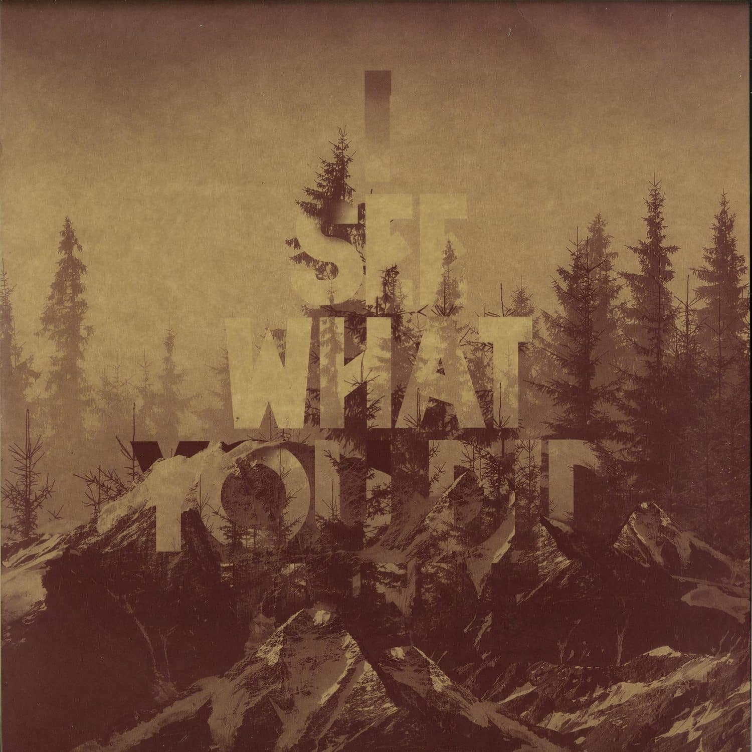 214 - I SEE WHAT YOU DID THERE