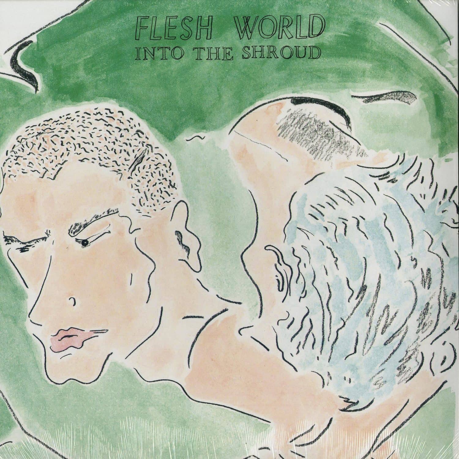 Flesh World - INTO THE SHROUD 