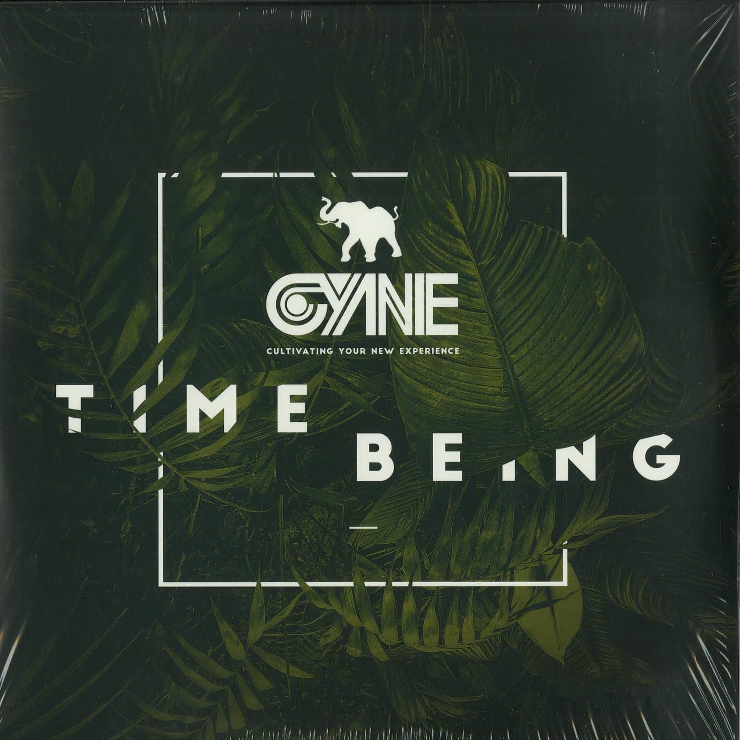 CYNE - TIME BEING DELUXE EDITION 