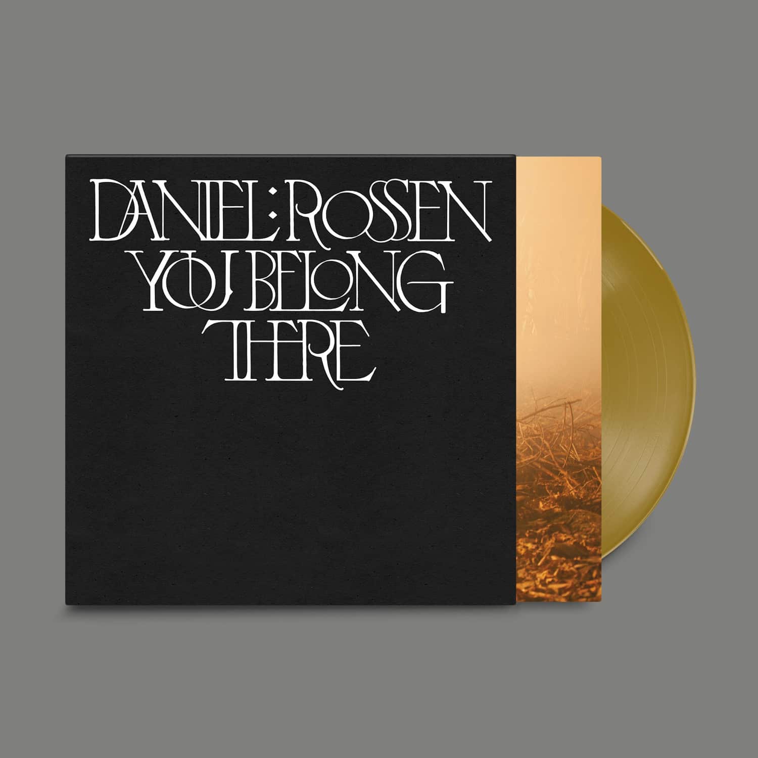 Daniel Rossen - YOU BELONG THERE 