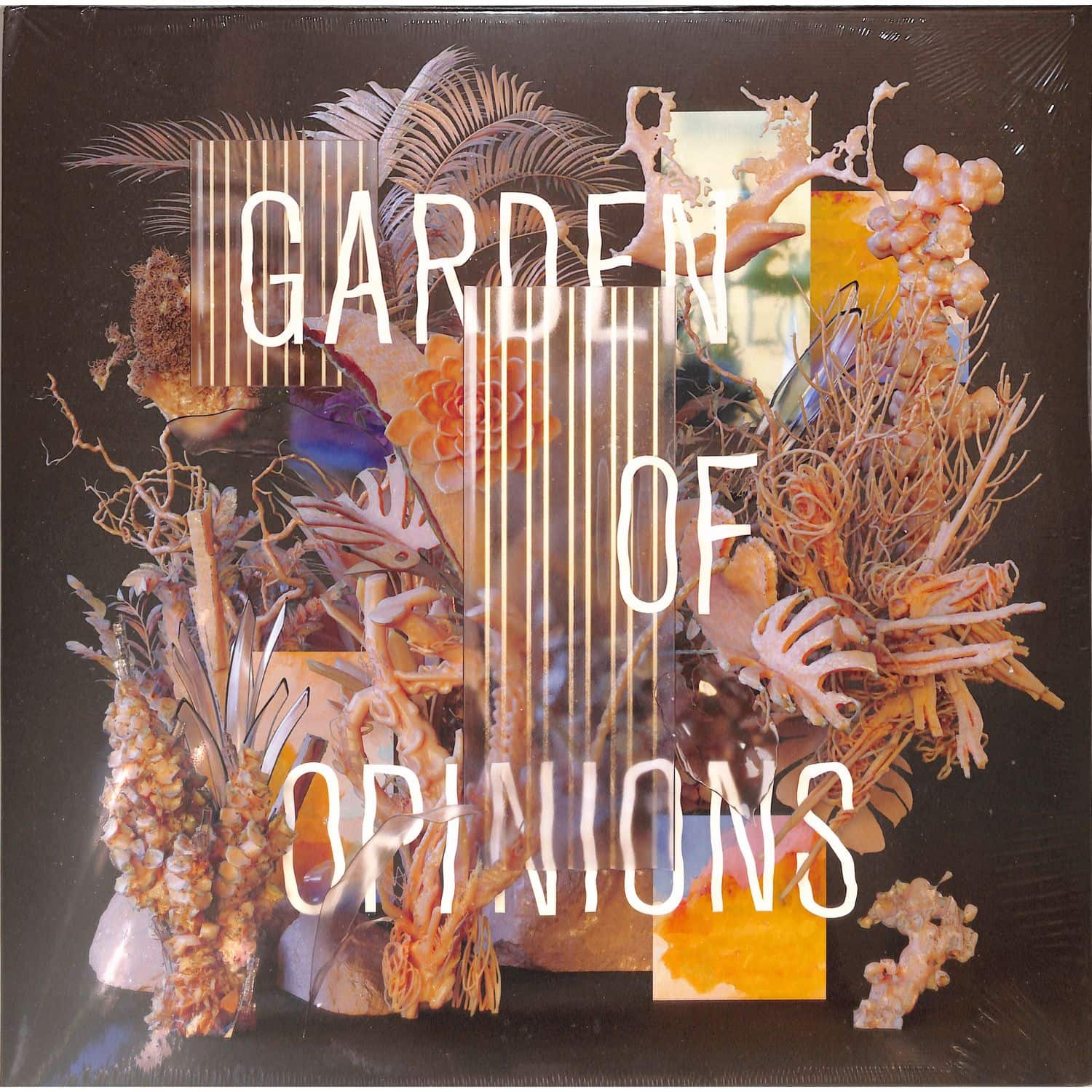 Footprint Project - GARDEN OF OPINIONS 