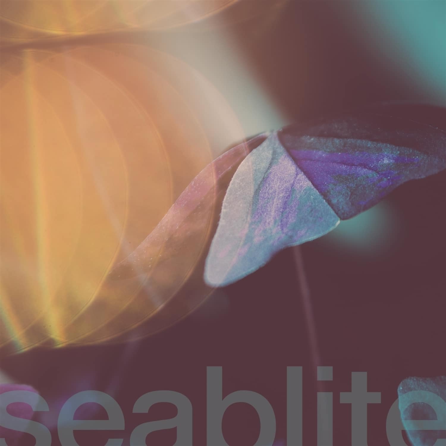 Seablite - BREADCRUMBS 