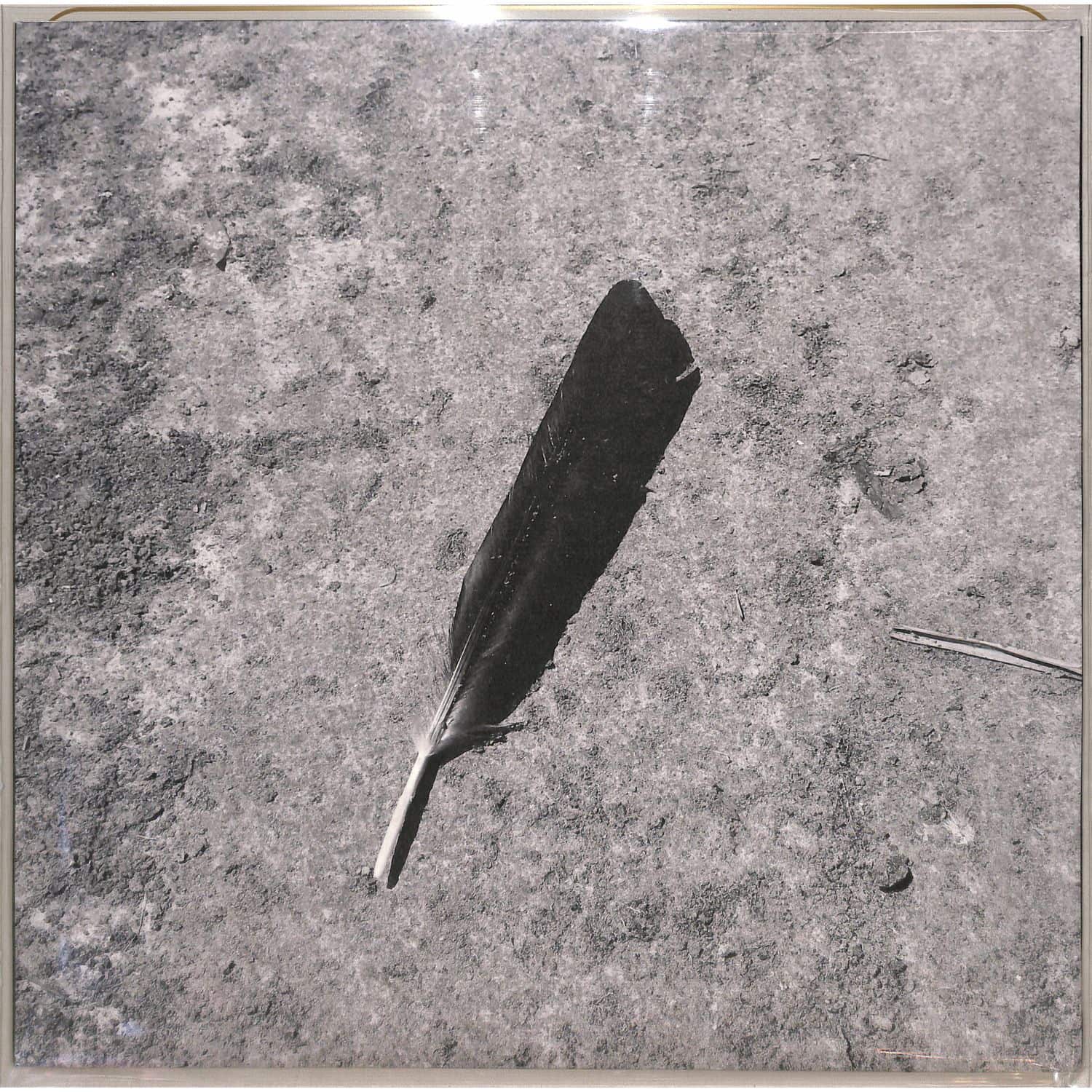 Function - GREEN EP
