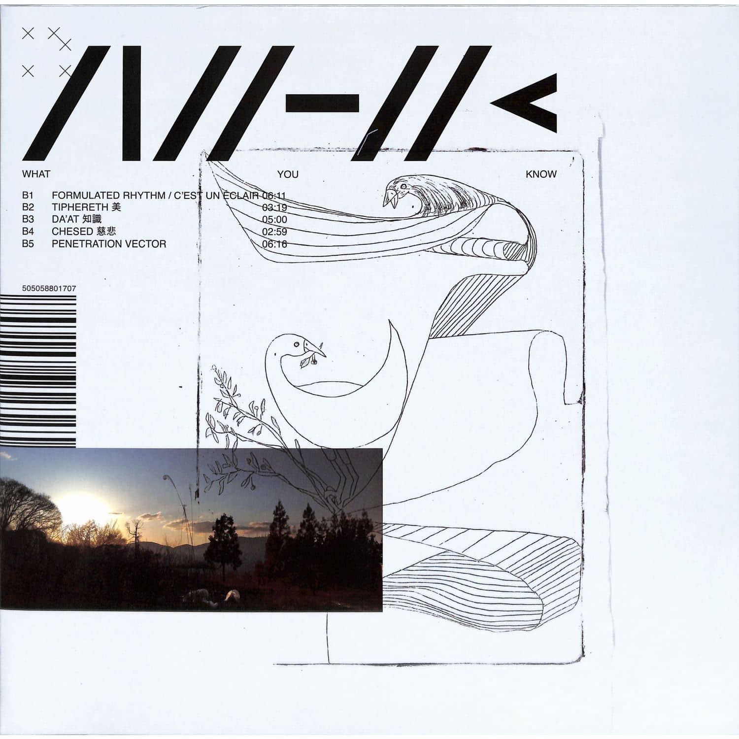 NHK - WHAT YOU KNOW 