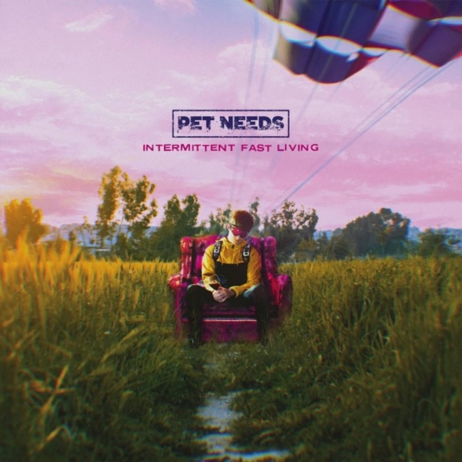 Pet Needs - INTERMITTENT FAST LIVING 