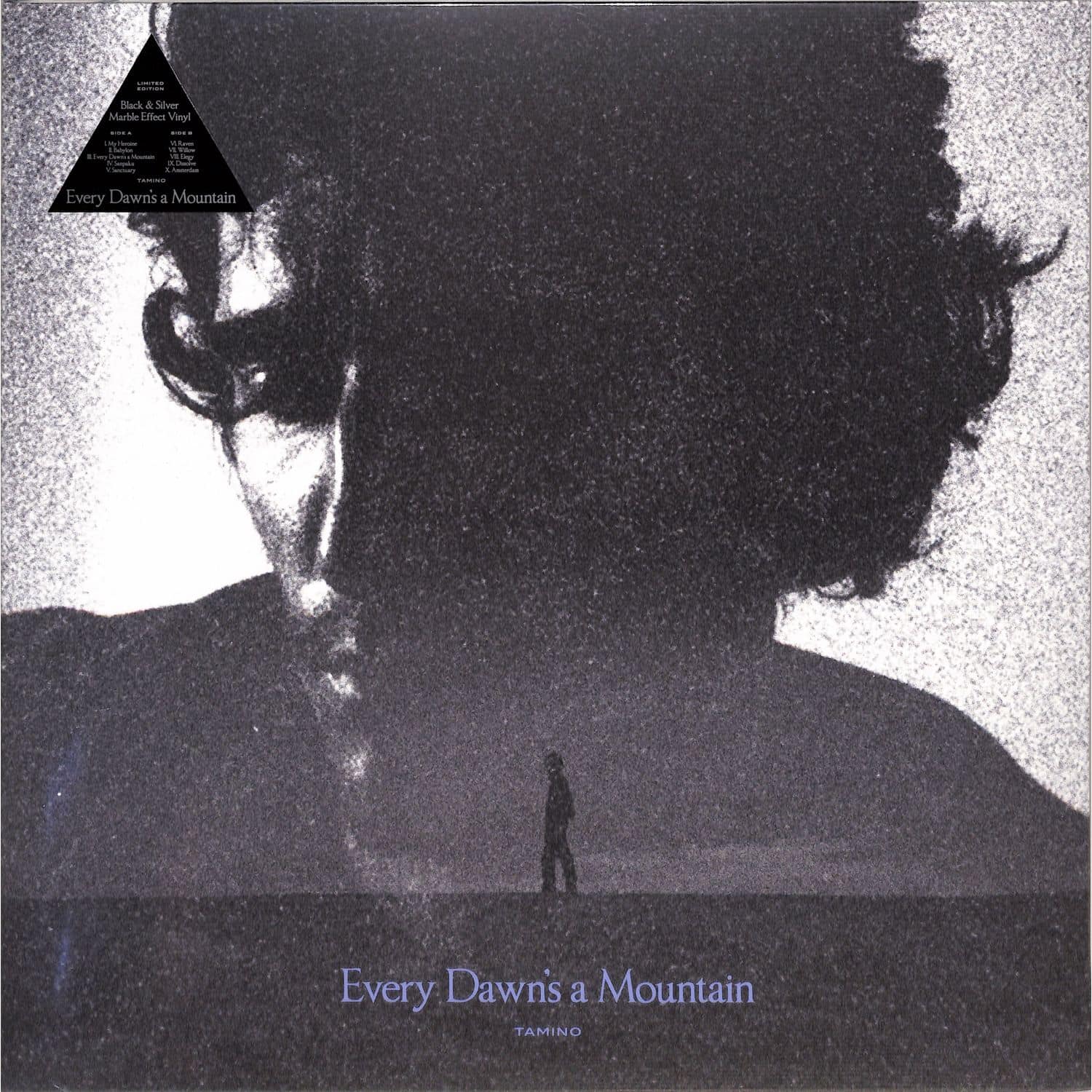 Tamino - EVERY DAWN S A MOUNTAIN 