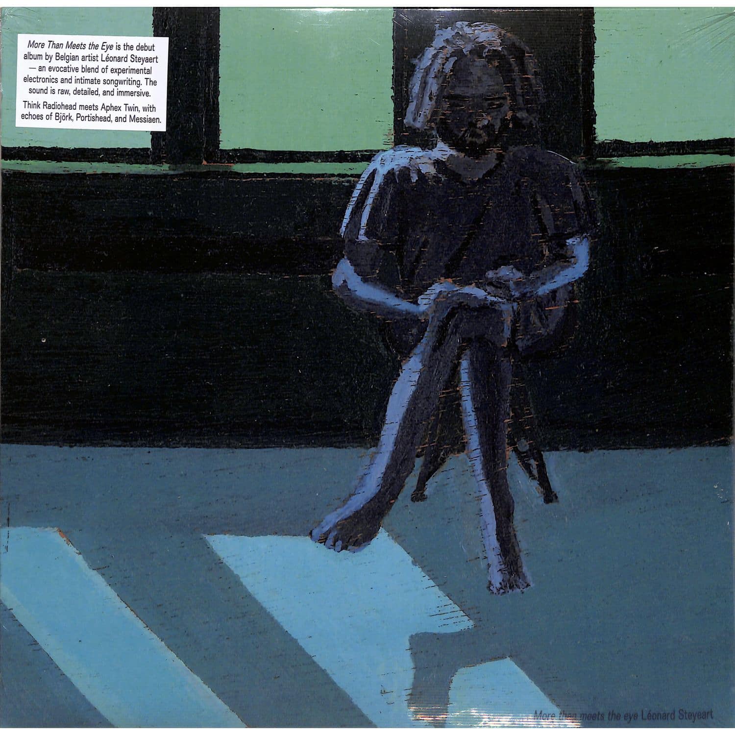 Leonard Steyaert - MORE THAN MEETS THE EYE