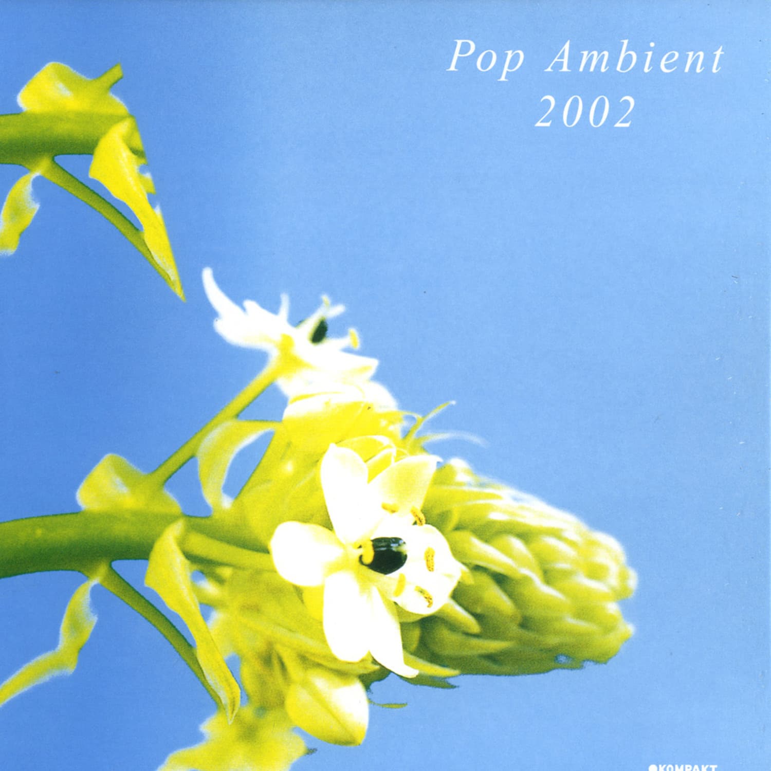Kompakt - POP AMBIENT 2002 