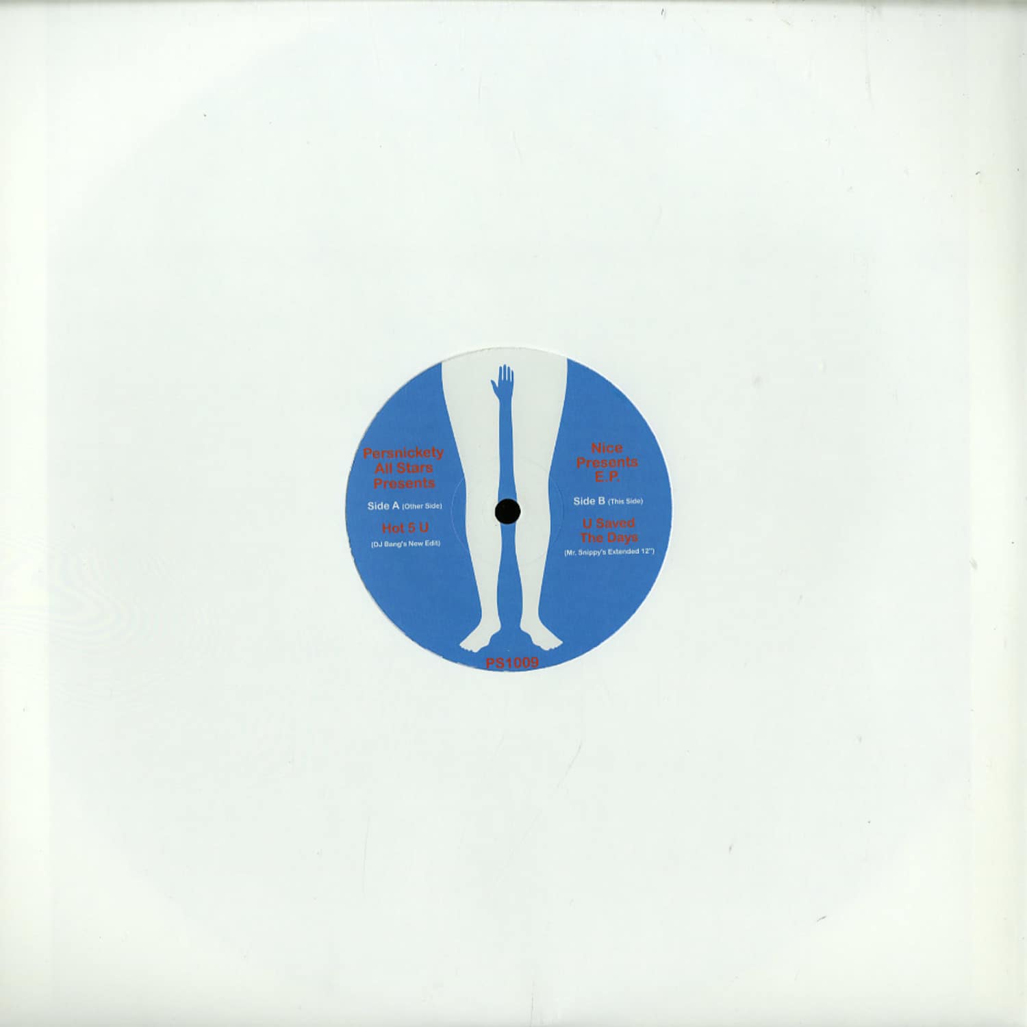 Persnickety All Stars - NICE PRESENTS EP