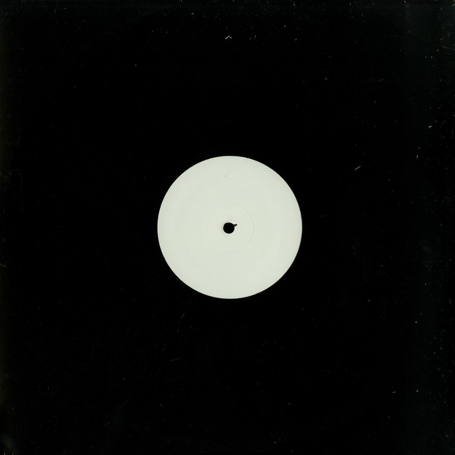 Dauwd - HEAT DIVISION
