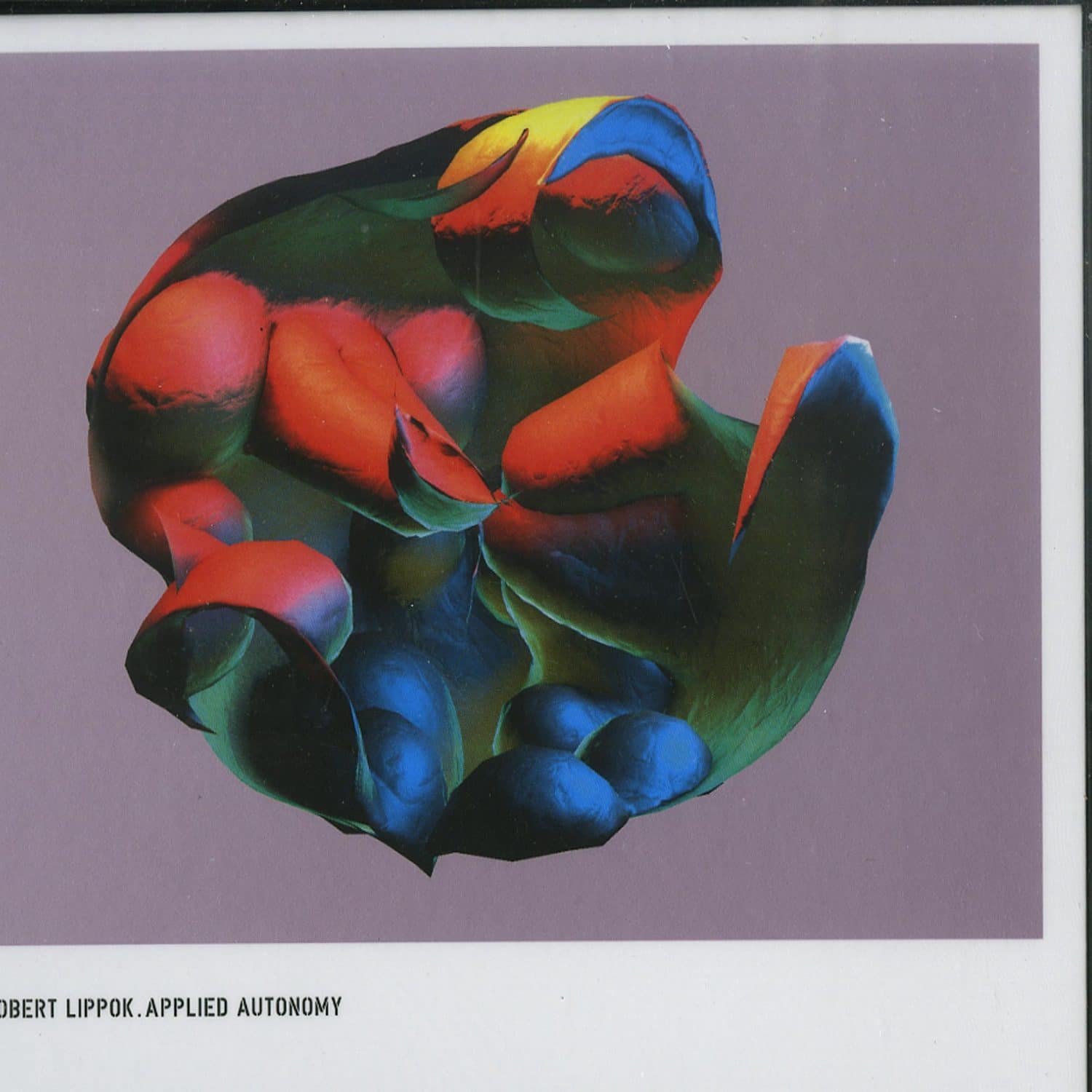 Robert Lippok - APPLIED AUTONOMY 