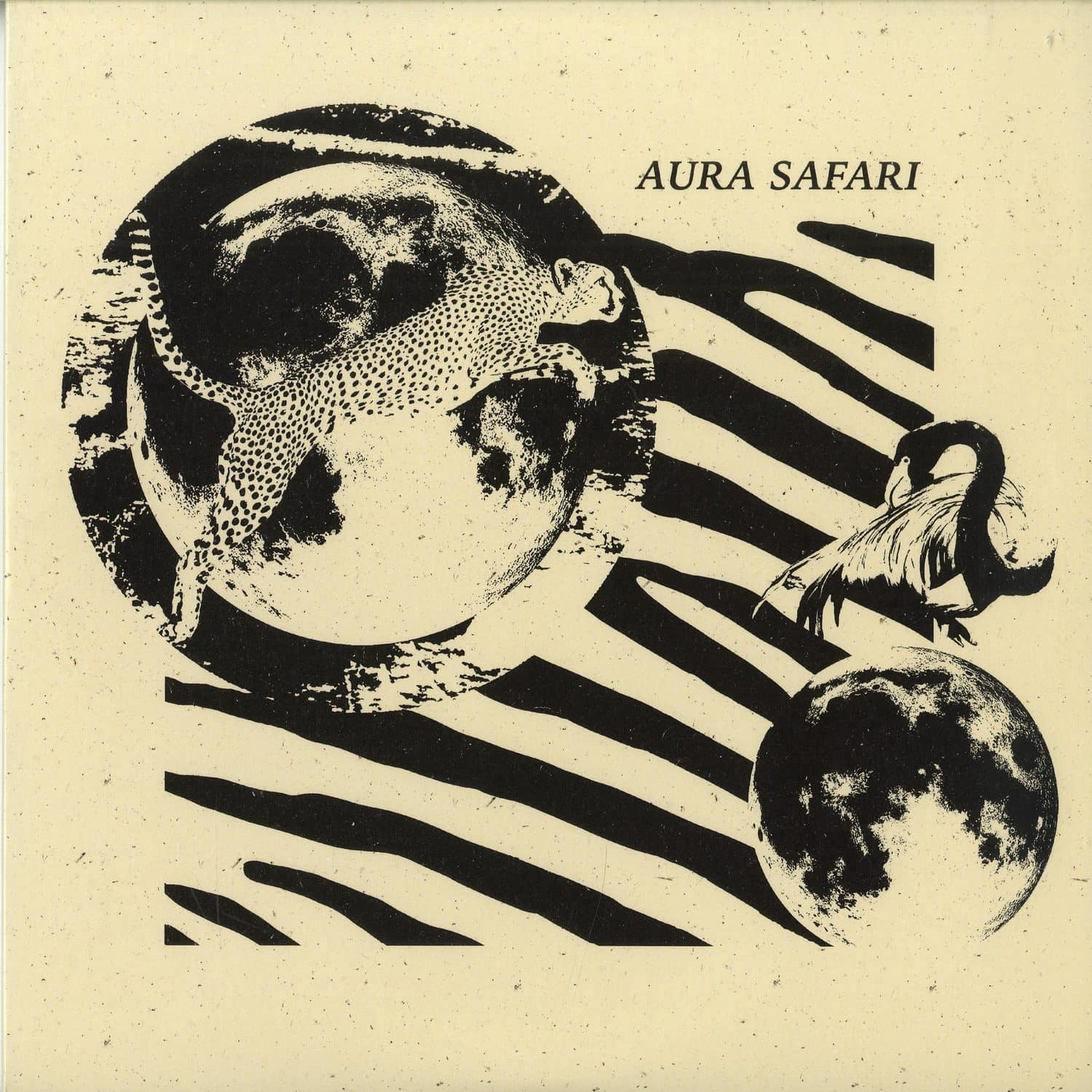 Aura Safari - AURA SAFARI 