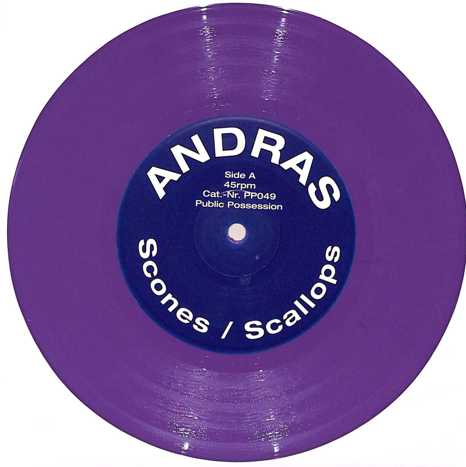 Andras - SCONES / SCALLOPS 