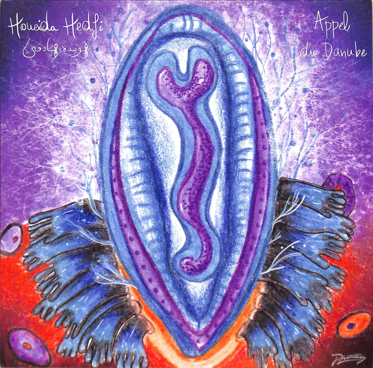 Houeida Hedfi - APPEL DU DANUBE