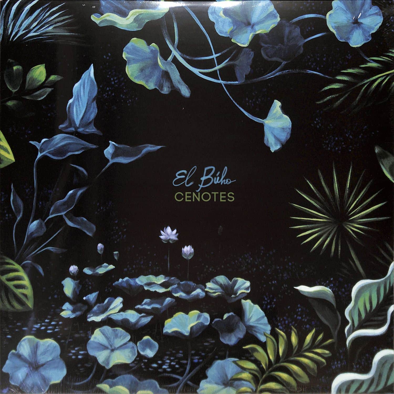 El Buho - CENOTES 