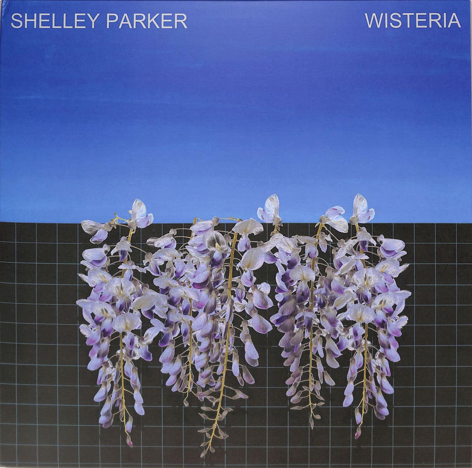 Shelley Parker - WISTERIA 
