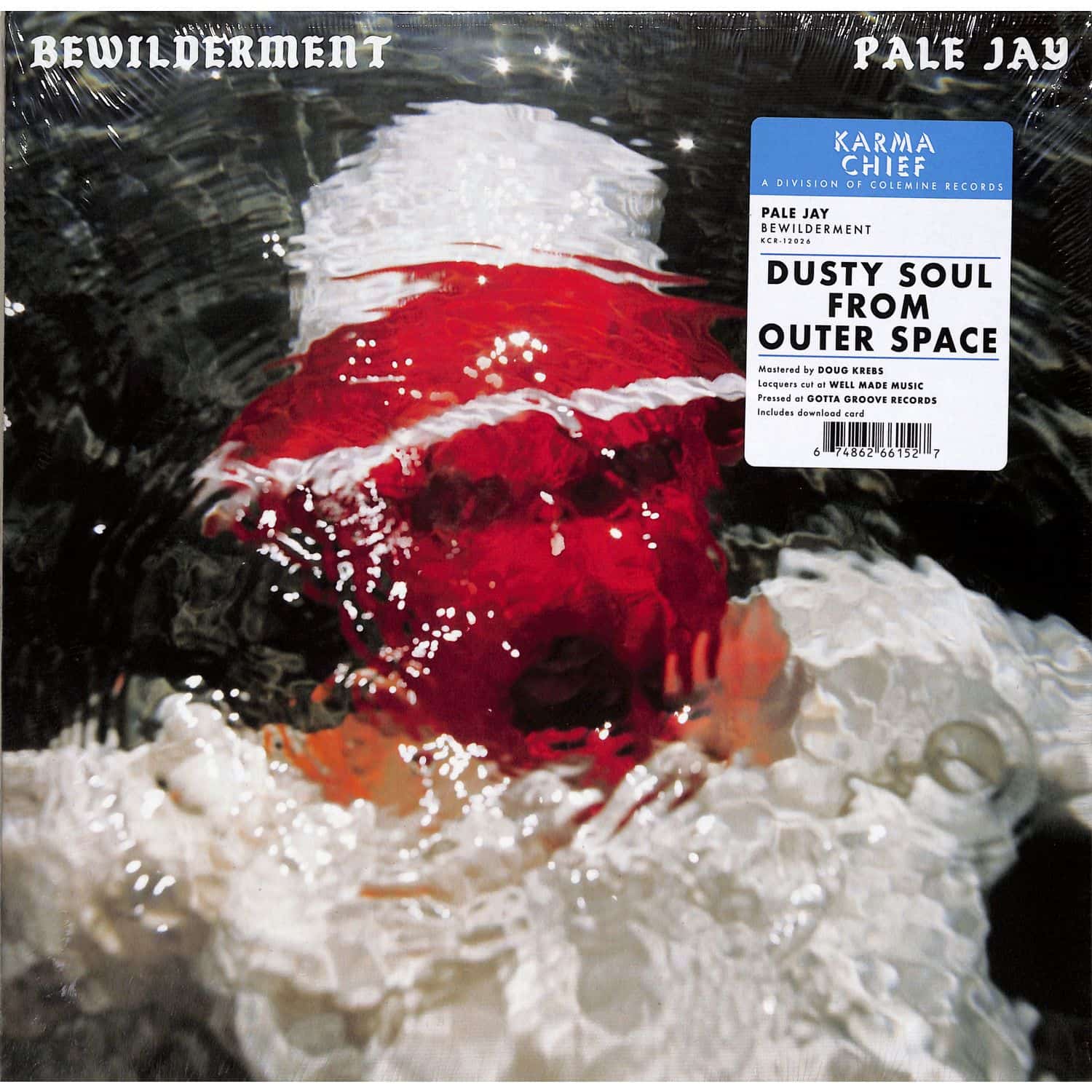 Pale Jay - BEWILDERMENT 