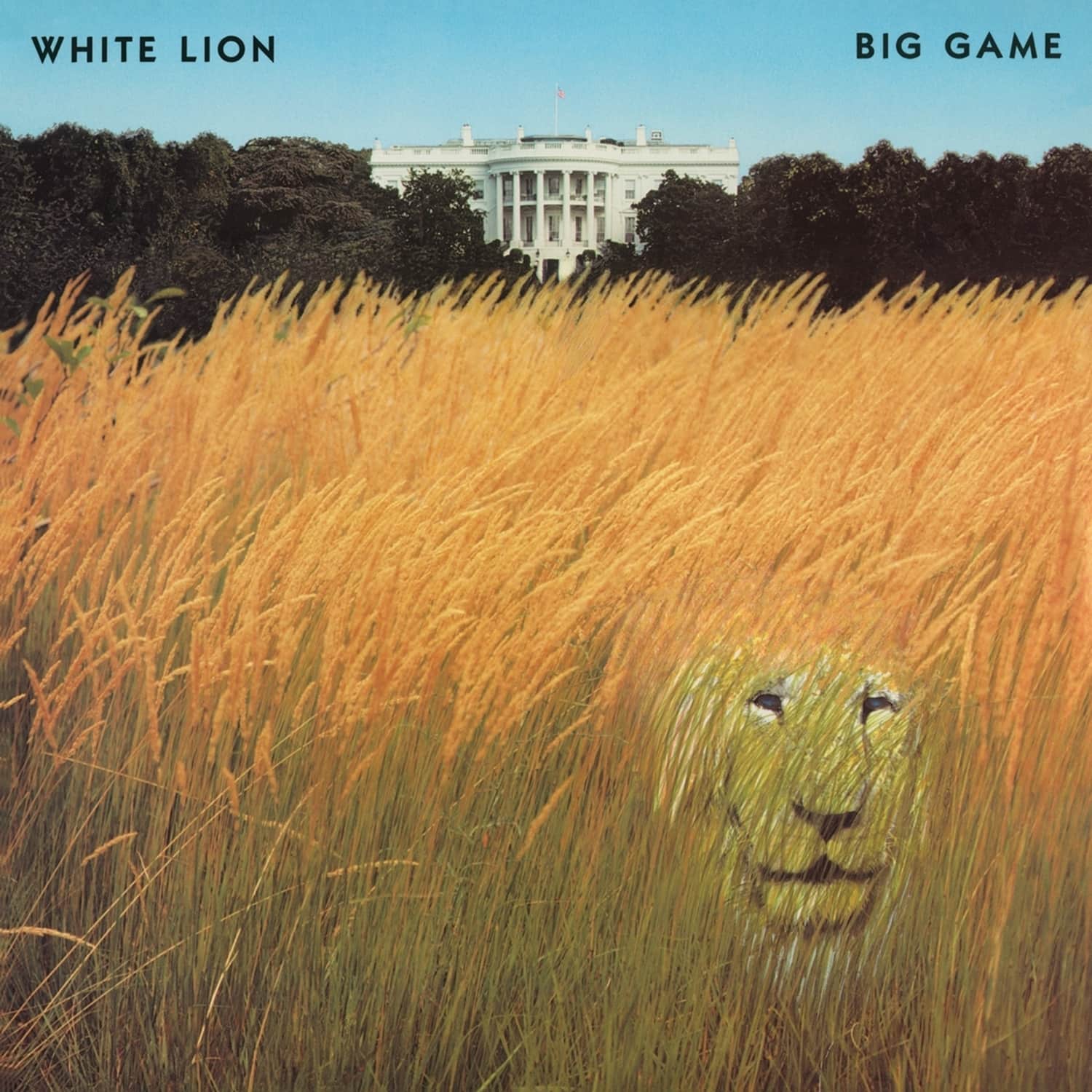 White Lion - BIG GAME 