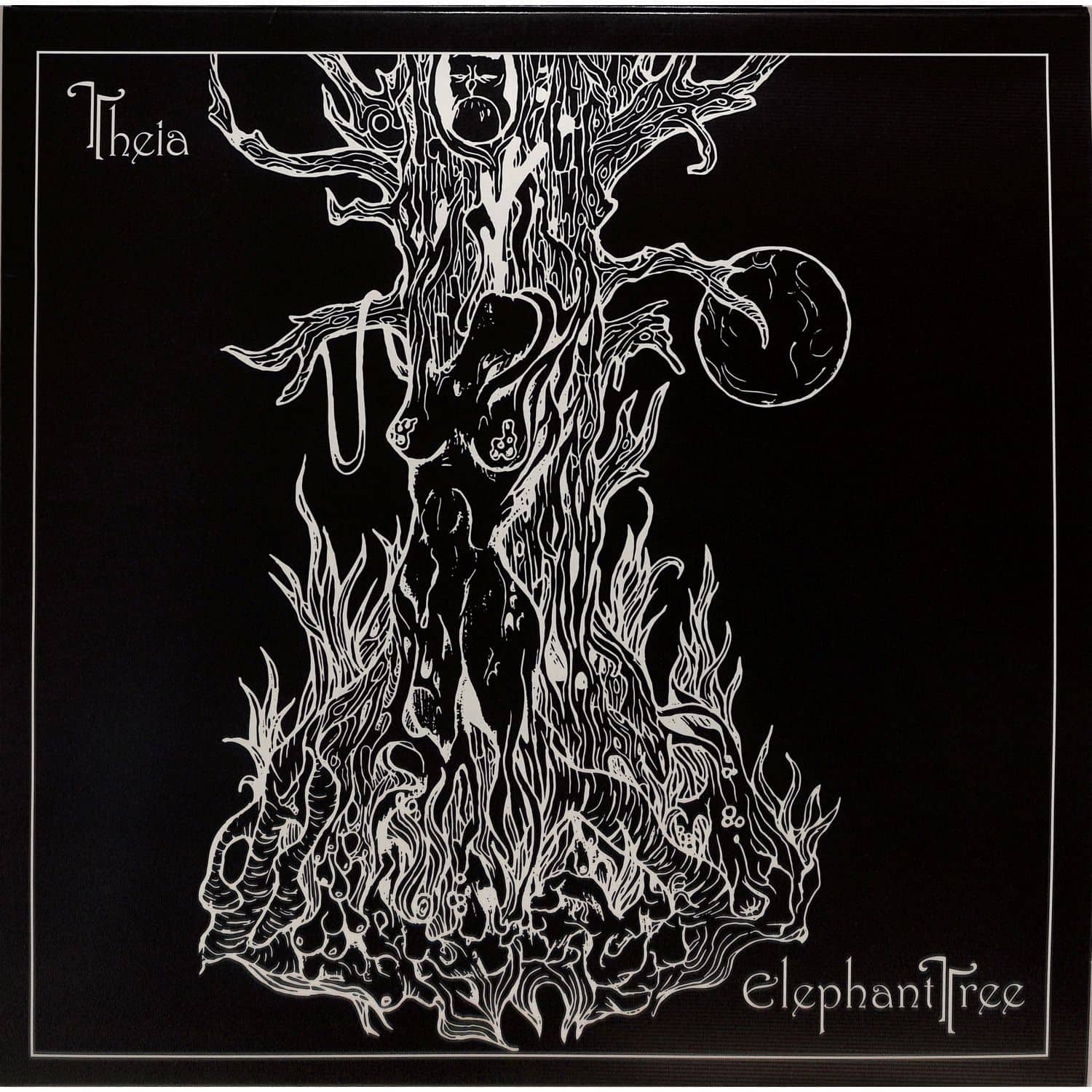 Elephant Tree - THEIA 