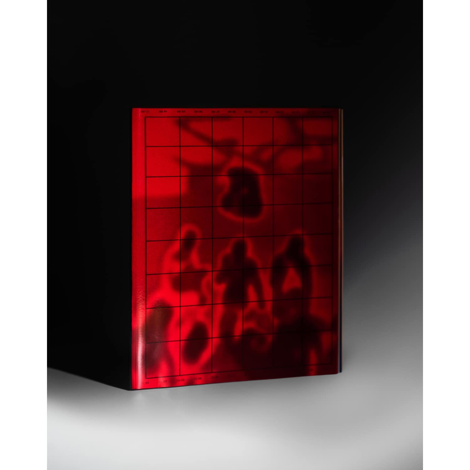 Het Altijd - DE SCHOOL, 2016-2024