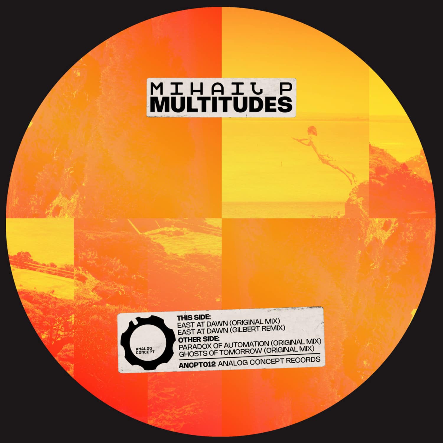 Mihail P - MULTITUDES