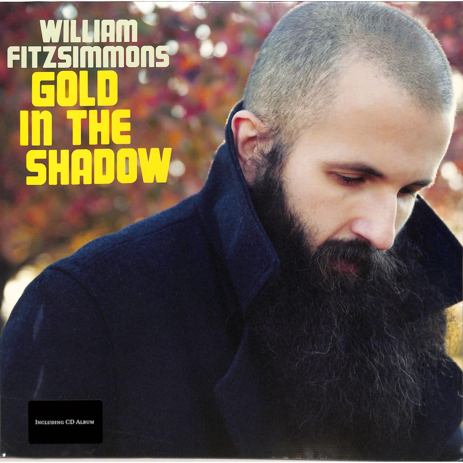 William Fitzsimmons - GOLD IN THE SHADOW 