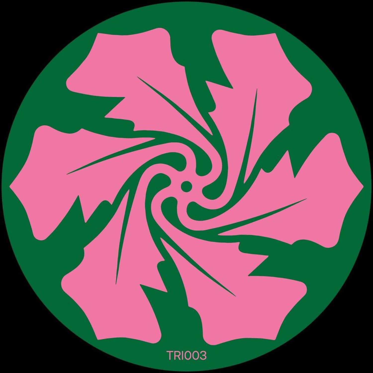 Verlake - ECHOING