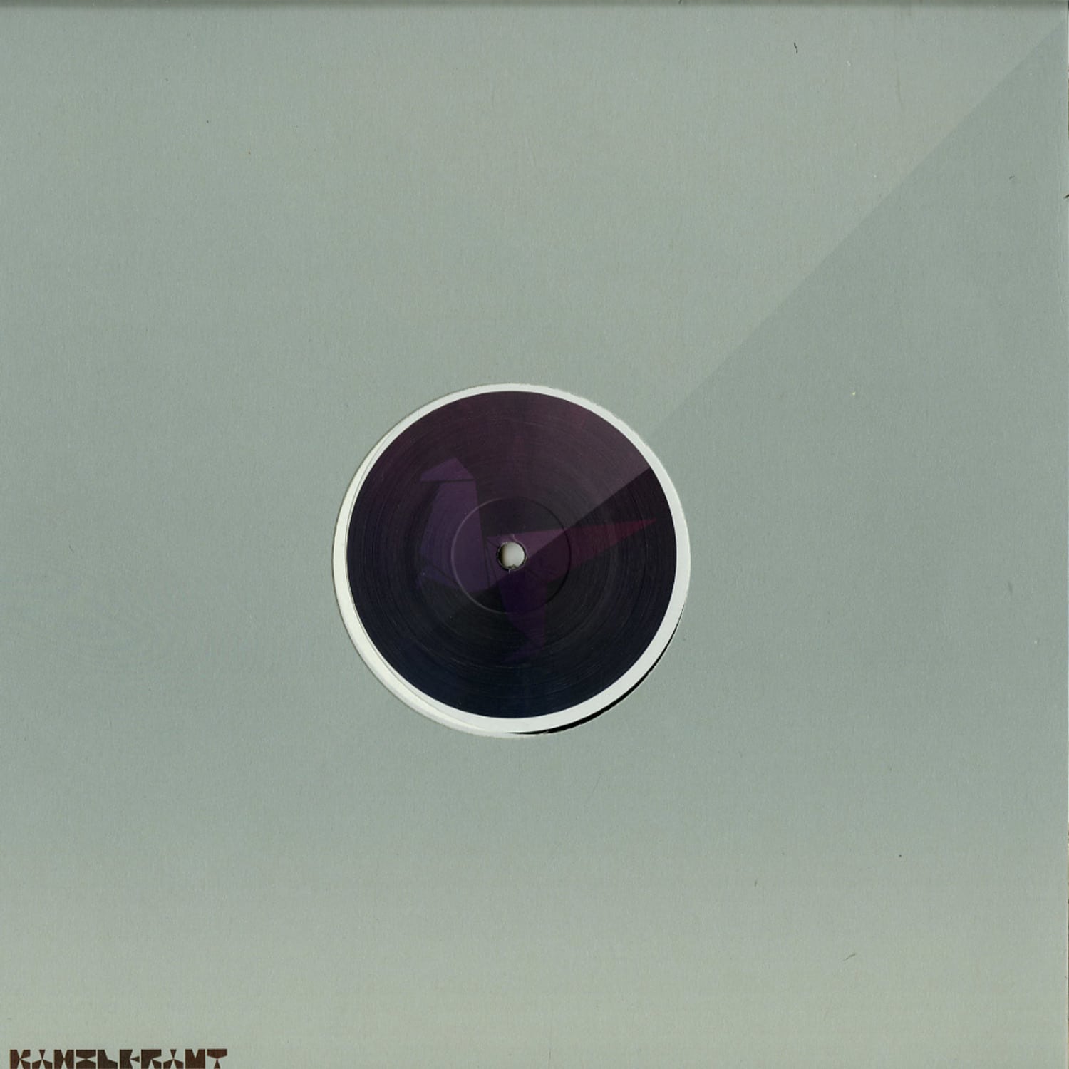 Heiko Laux & Diego Hostettler - CHICKEN UNDERSTOOD