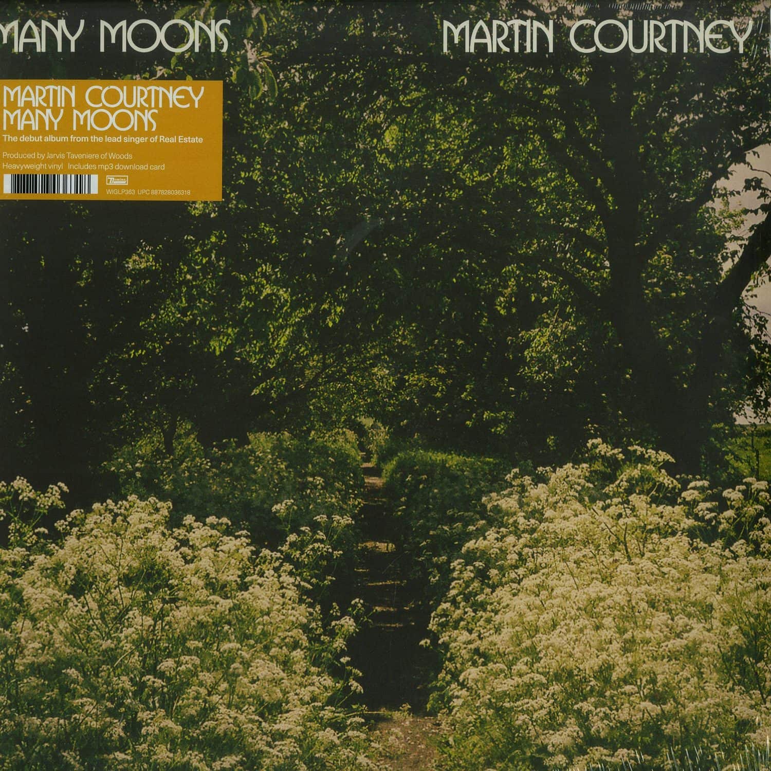 Martin Courtney - MANY MOONS 