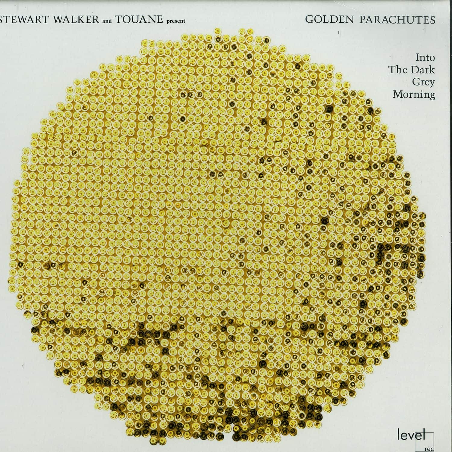 Stewart Walker and Touane presents The Golden Parachutes - INTO THE DARK GREY MORNING 