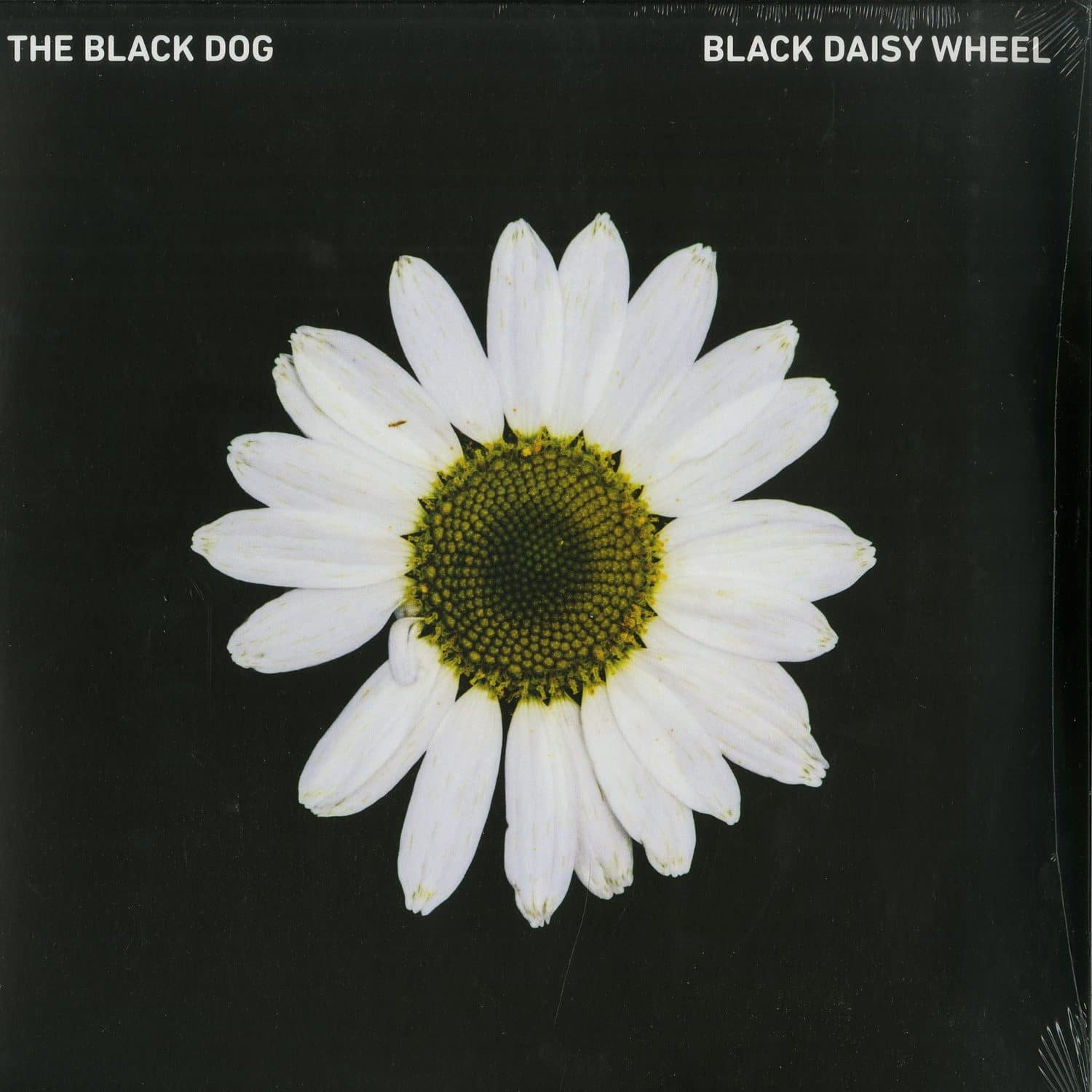 The Black Dog - BLACK DAISY WHEEL 