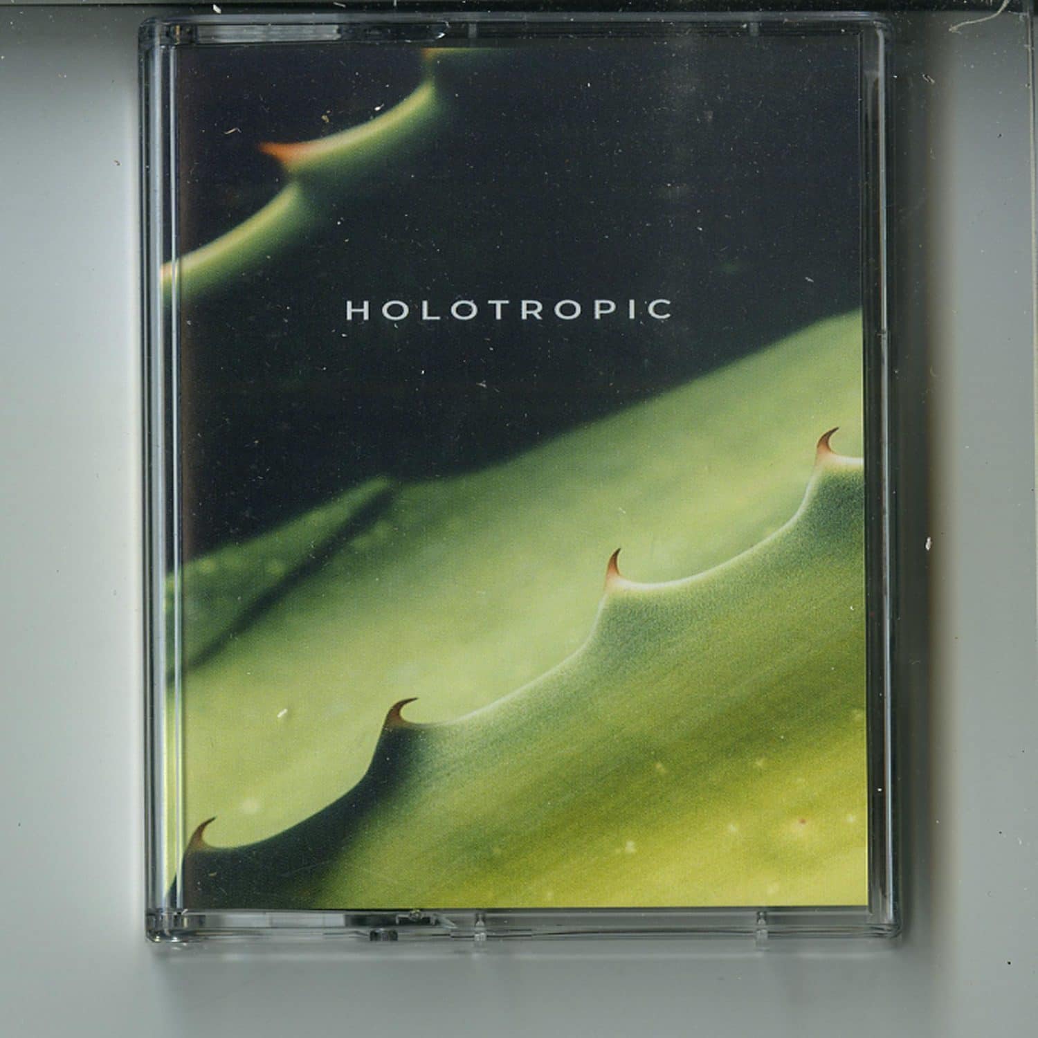 Holotropic - HOLOTROPIC 