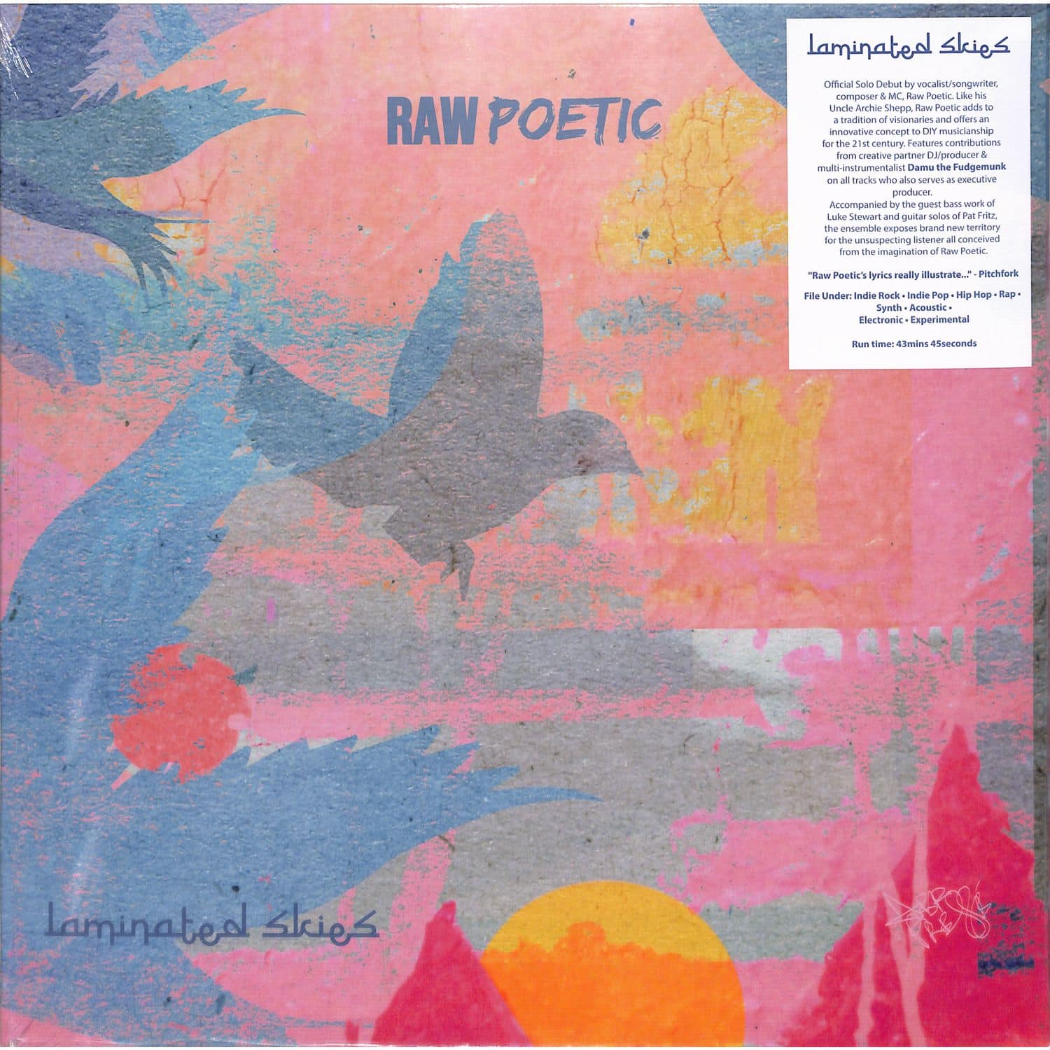 Raw Poetic & Damu The Fudgemunk - LAMINATED SKIES 