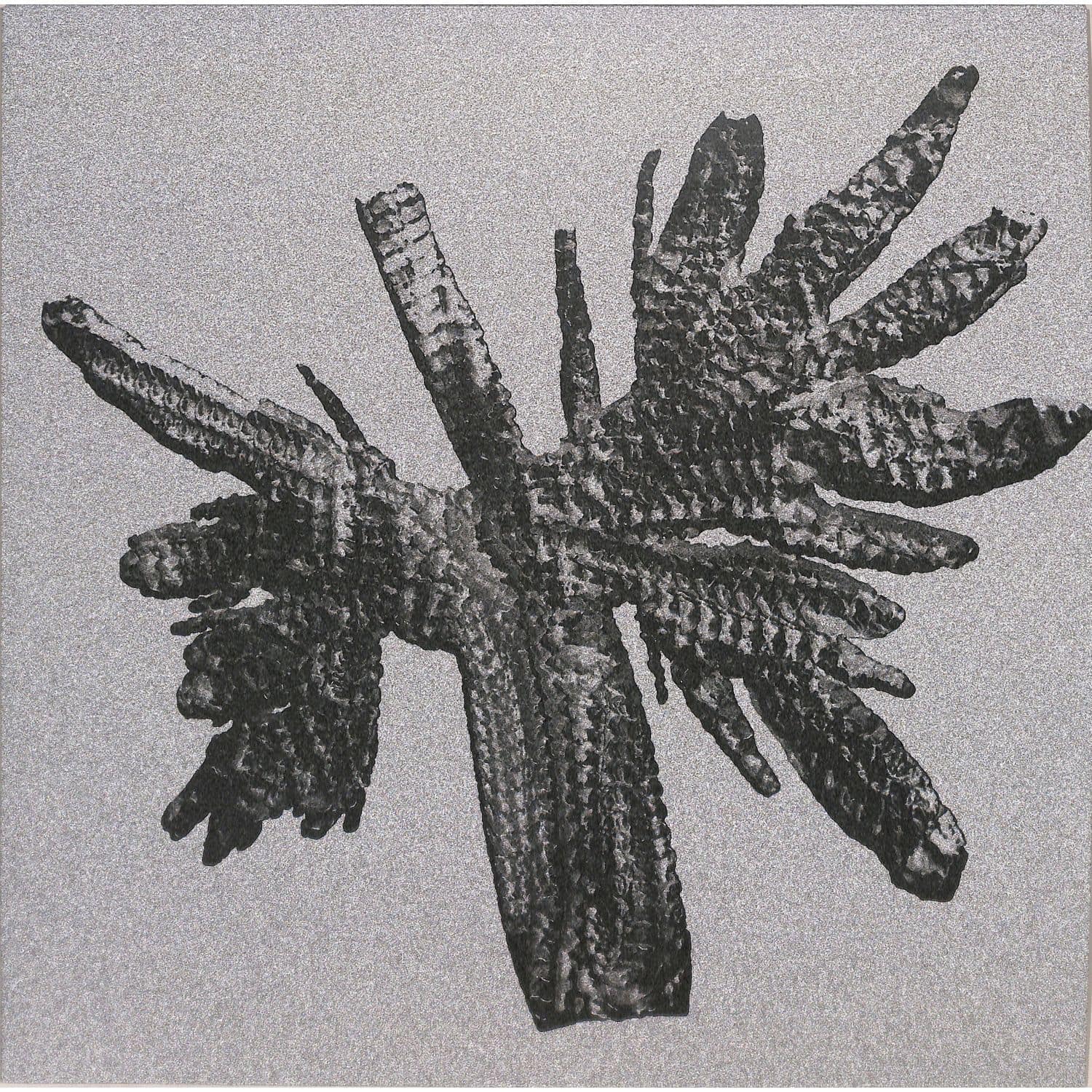 Crystal Geometry - THORNED EP