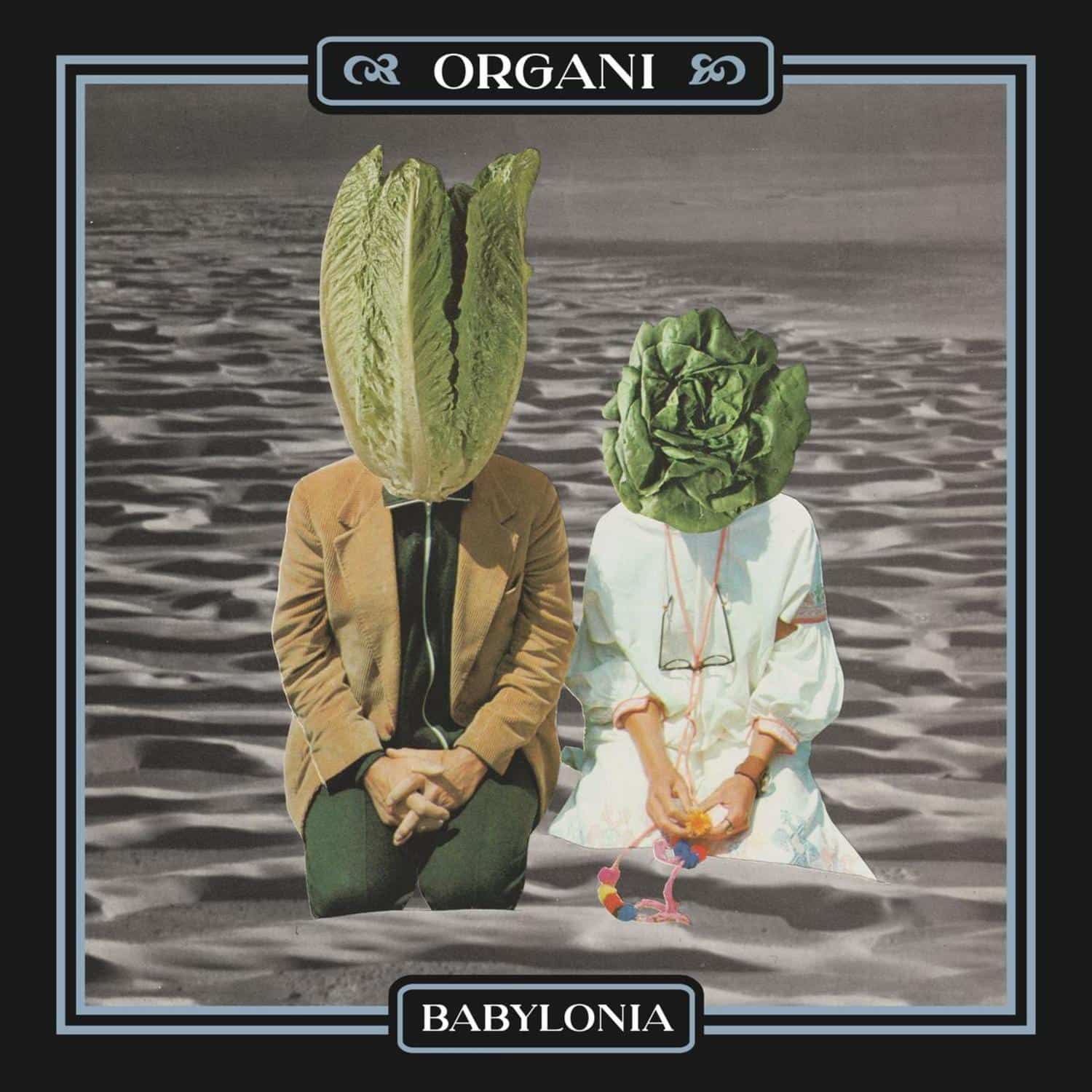 Organi - BABYLONIA 