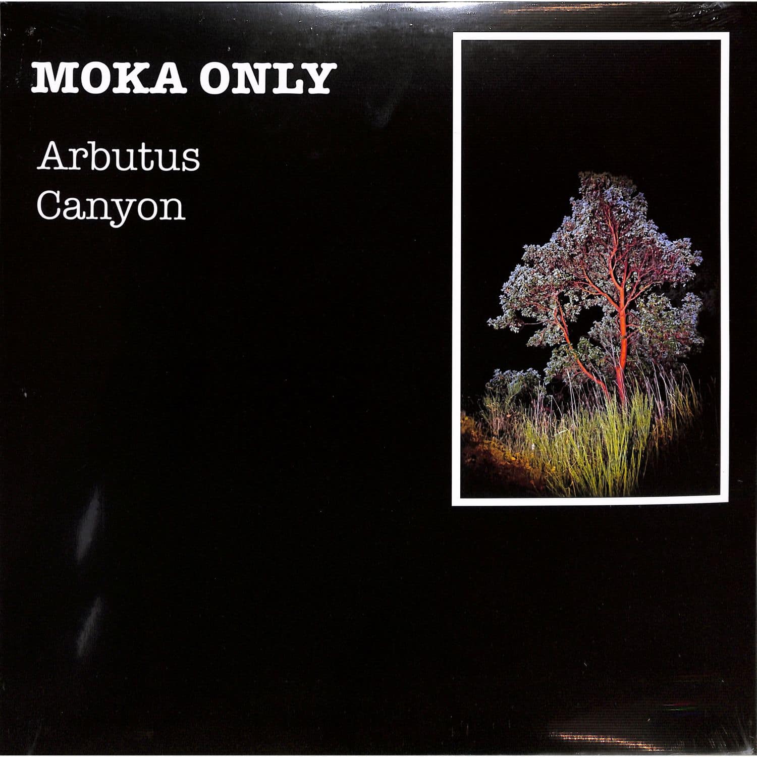 Moka Only - ARBUTUS CANYON 