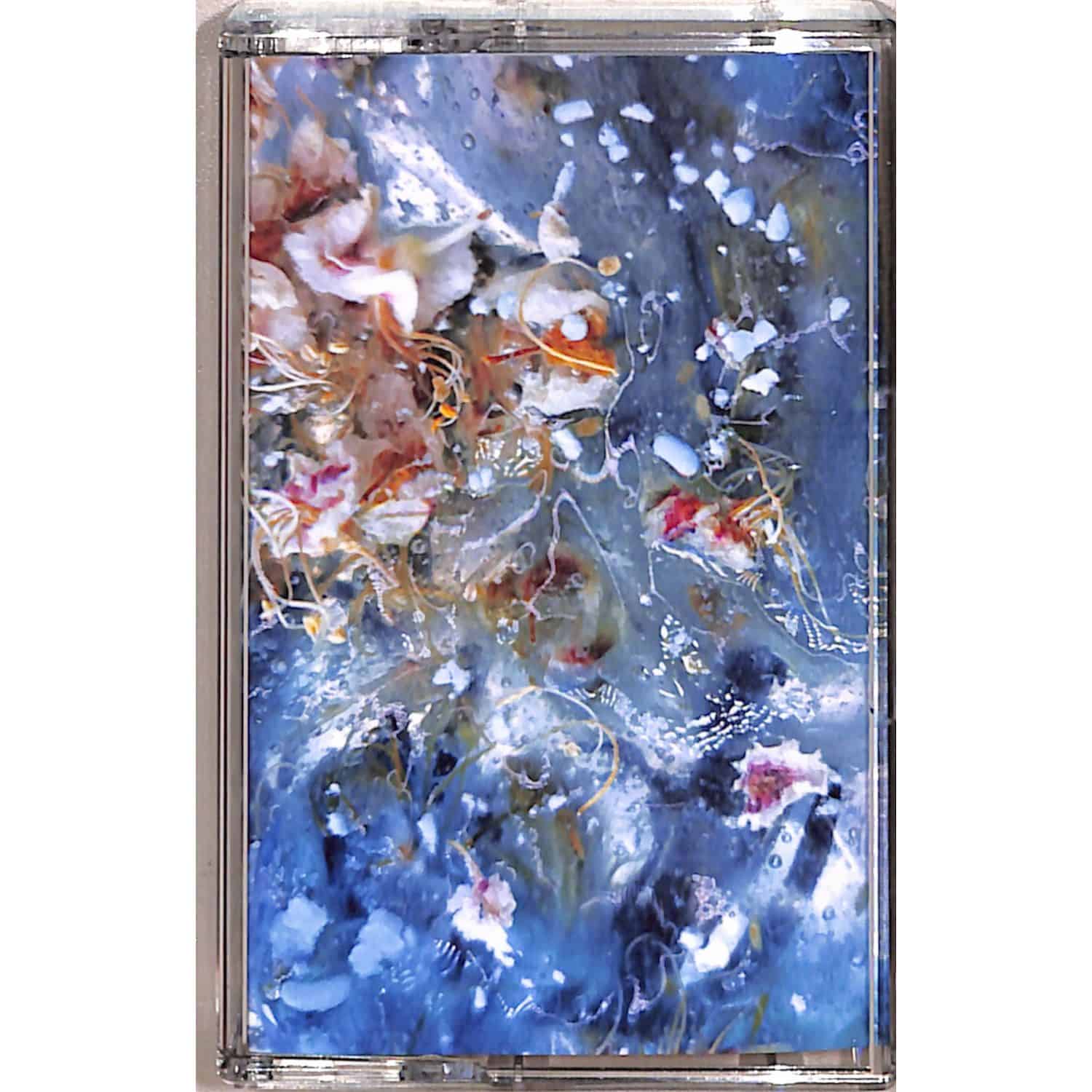 Various Artists - WATER BODIES 