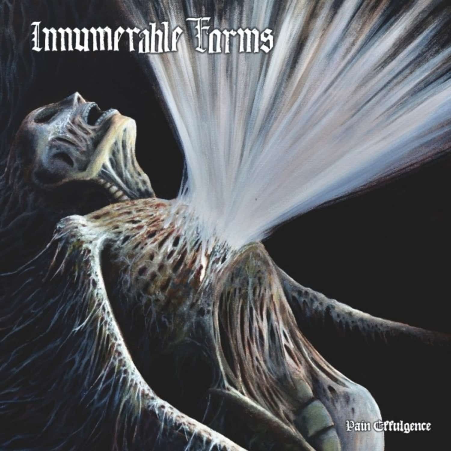 Innumerable Forms - PAIN EFFULGENCE 