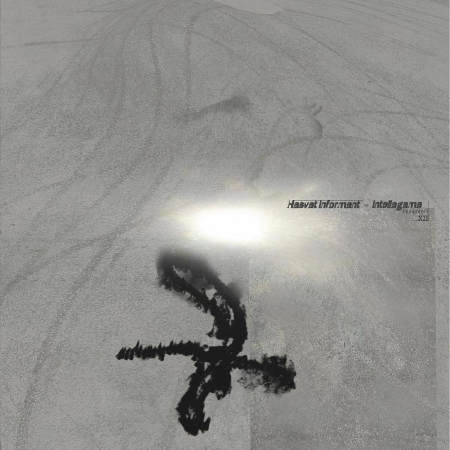 Hasvat Informant vs. Intellagama - PLURIPOTENT V