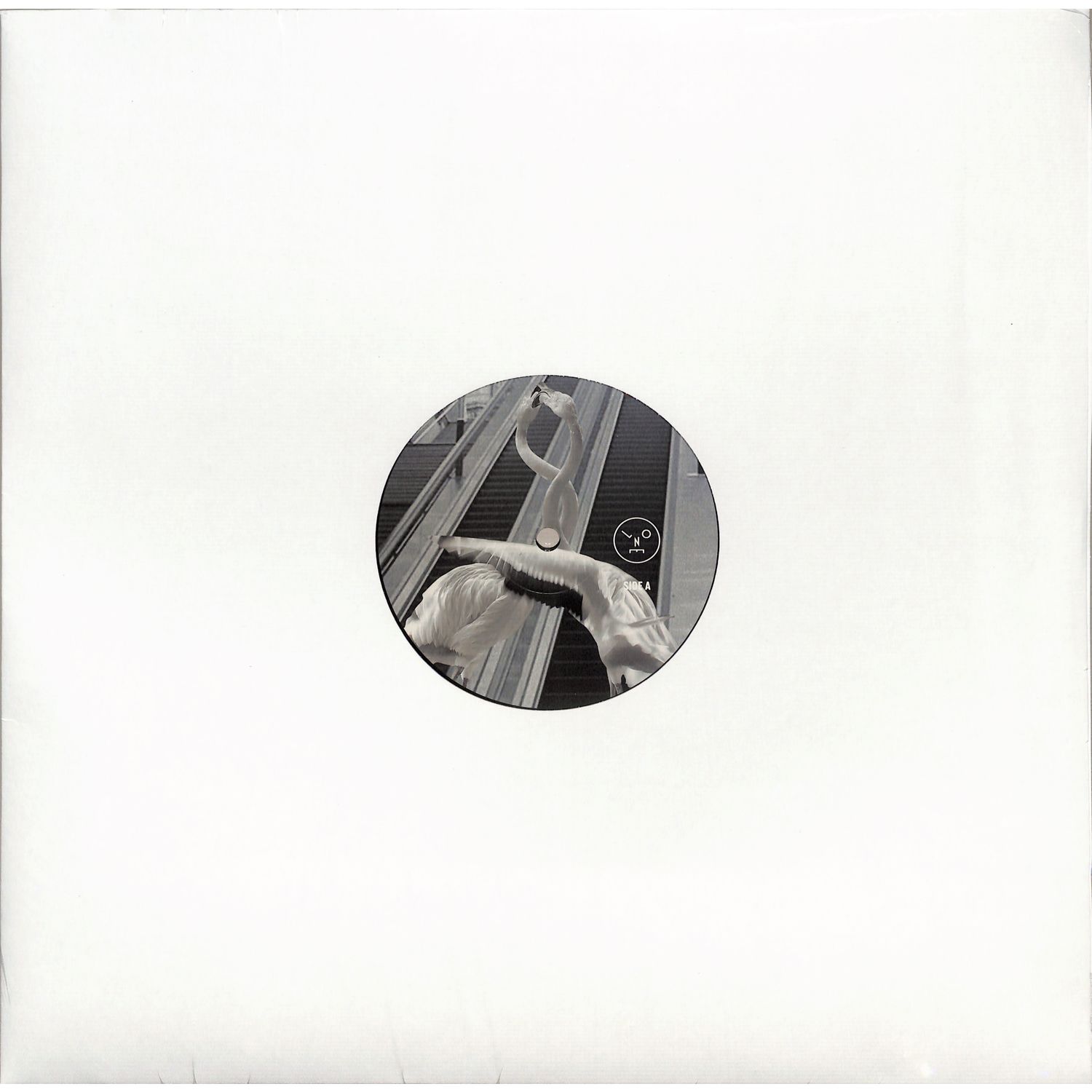 Sasha & Henry Saiz - LOVE IS ALL YOU NEED