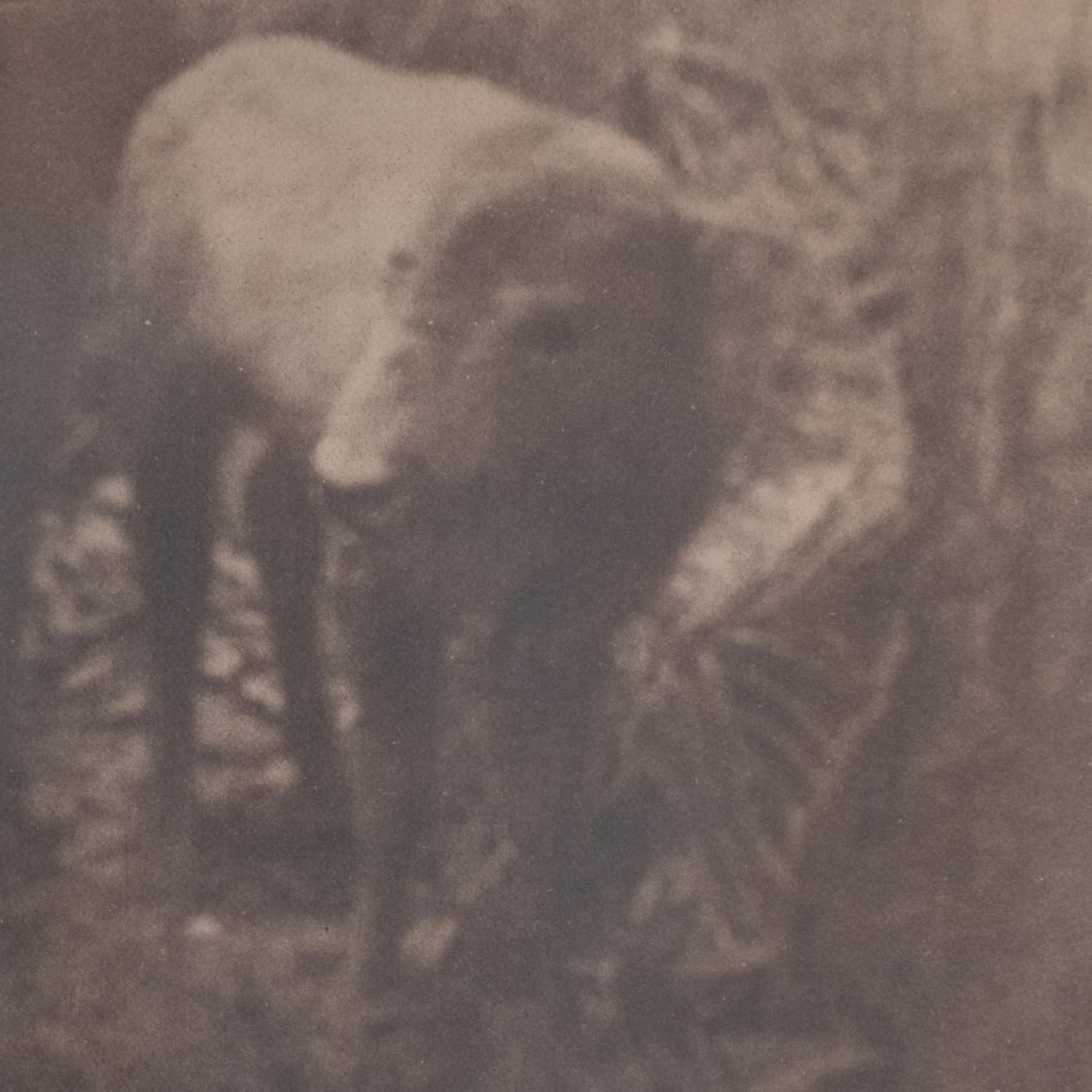 Gustav Kemps - LONESOME FOR A STORM