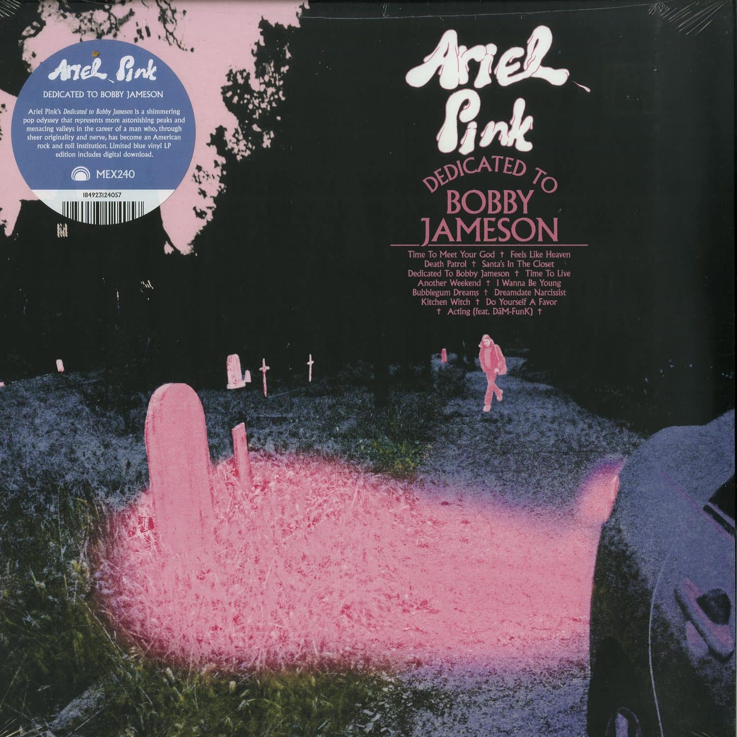 Ariel Pink - DEDICATED TO BOBBY JAMESON 