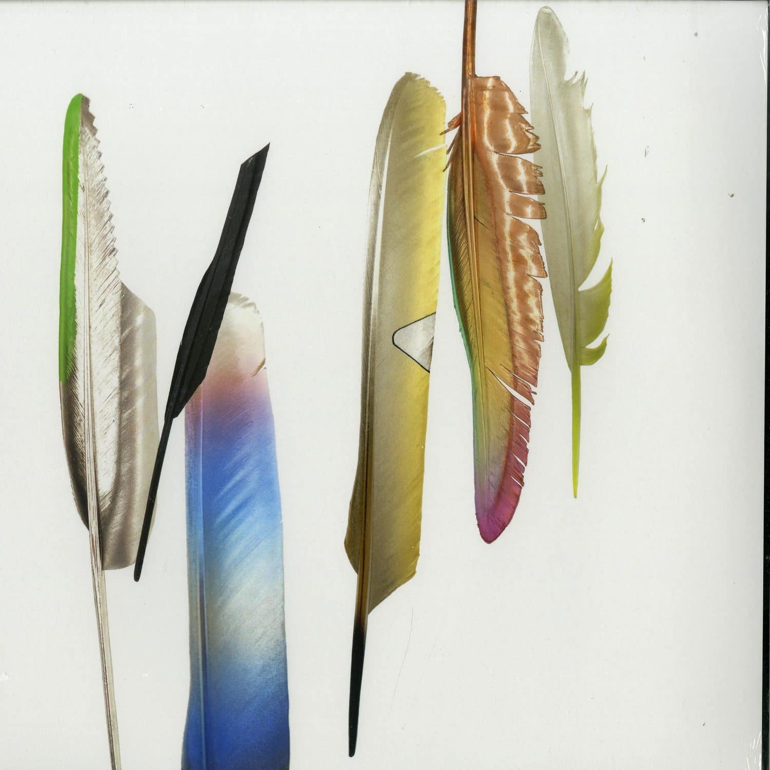 Powell Tillmans - SPOKEN BY THE OTHER 