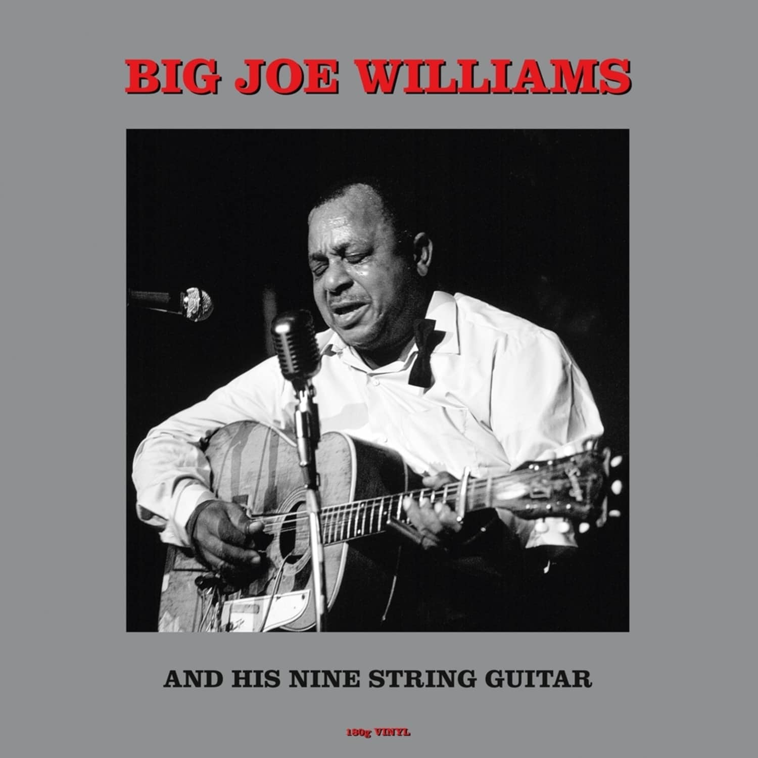 Big Joe Williams - AND HIS NINE STRING GUITAR