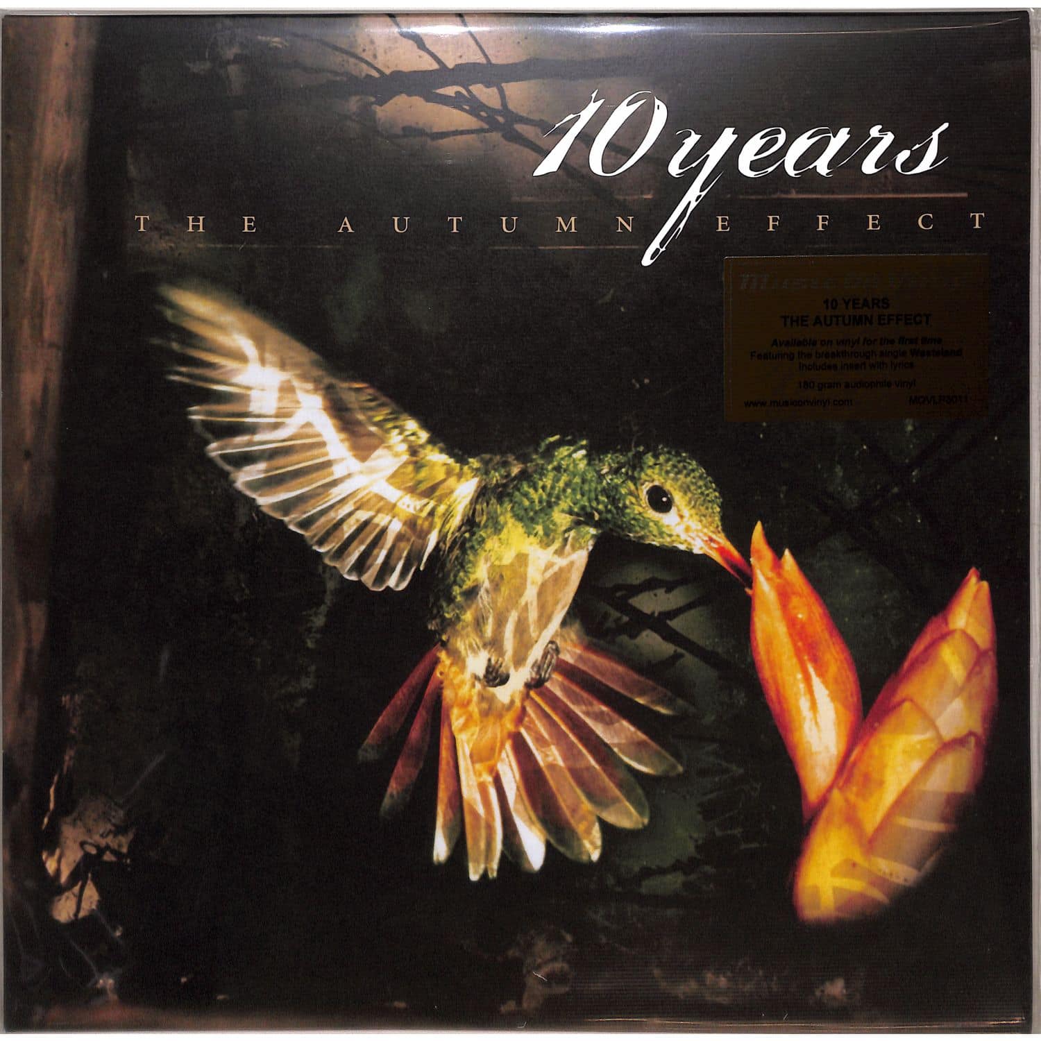Ten Years - AUTUMN EFFECT 