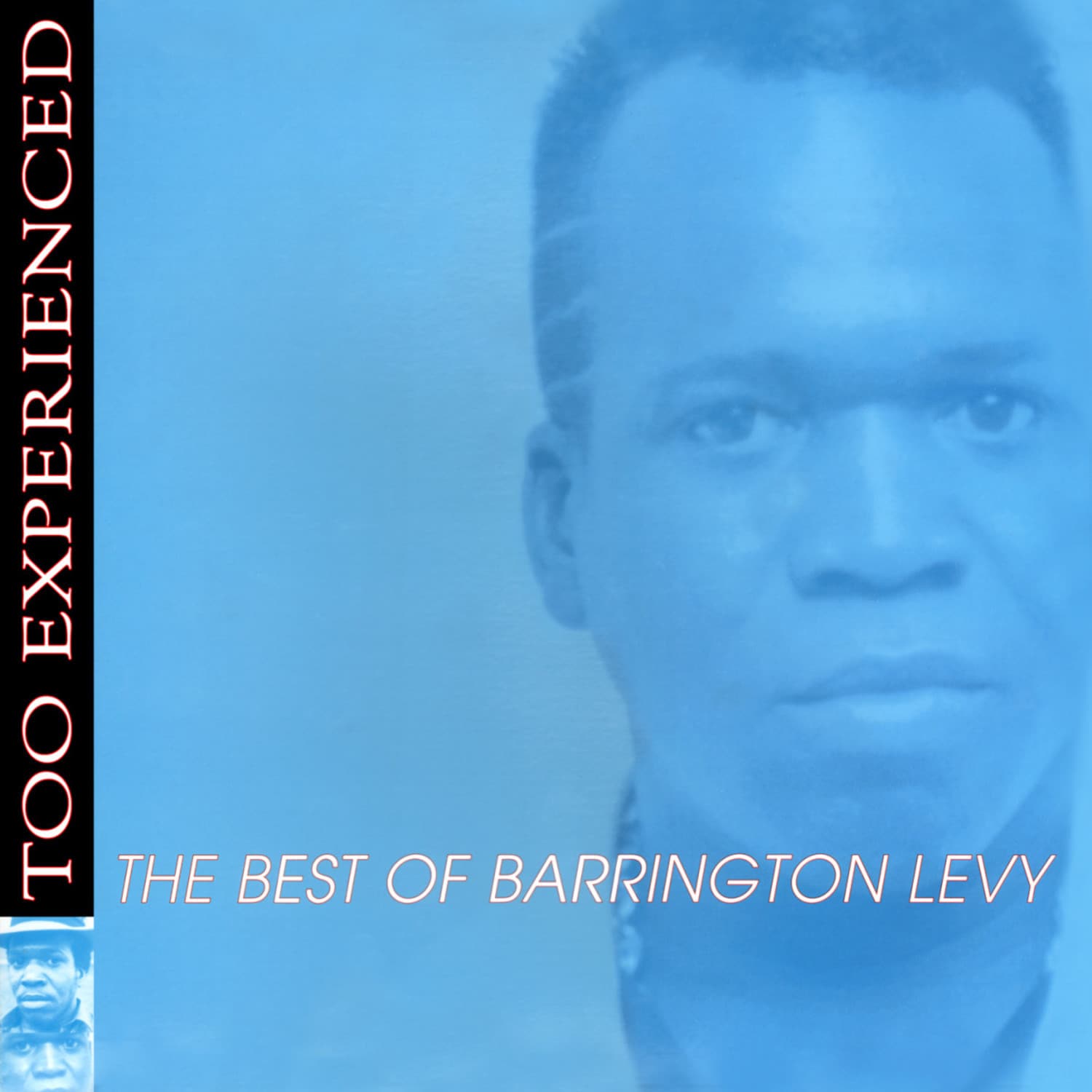 Barrington Levy - TOO EXPERIENCED-THE BEST OF BARRINGTON LEVY 