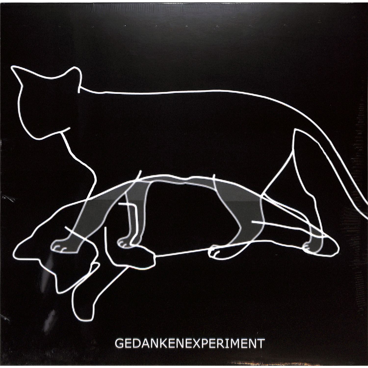 Gedankenexperiment - EXPERIMENT DEFINED