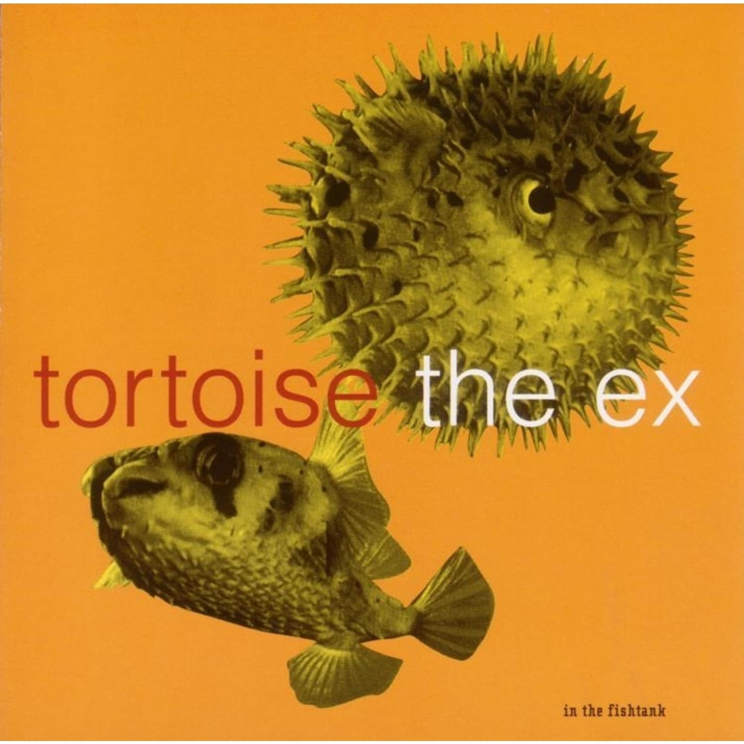 Tortoise+The Ex - IN THE FISHTANK 5 