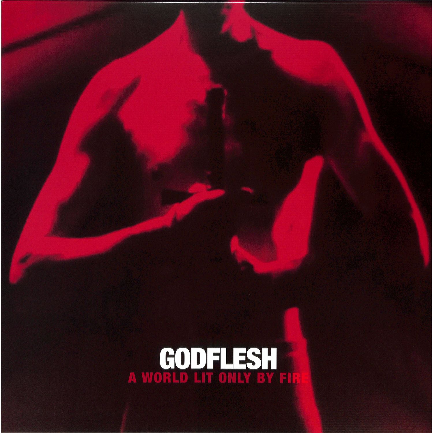 Godflesh - A WORLD ONLY LIT BY FIRE 