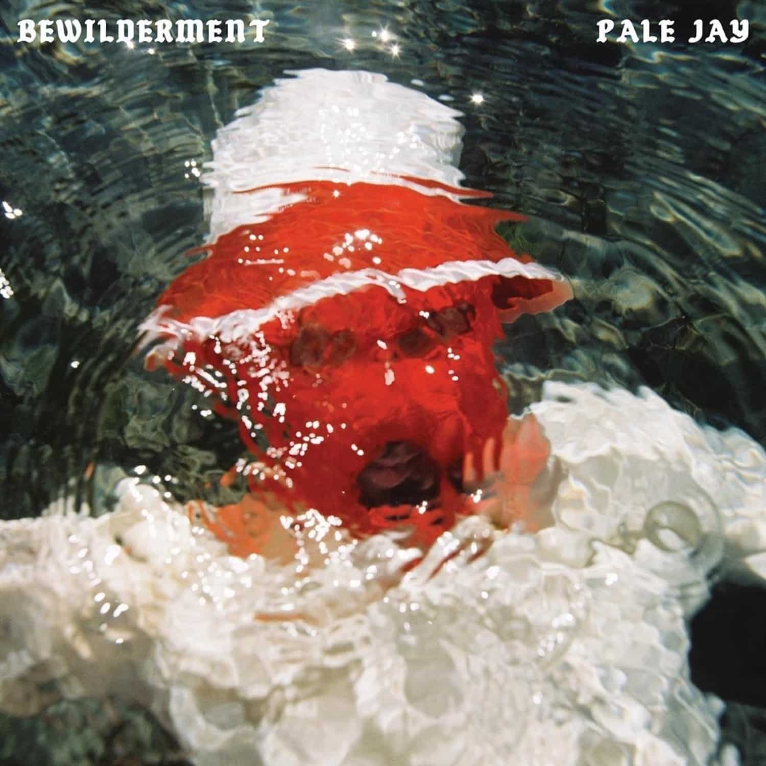 Pale Jay - BEWILDERMENT 